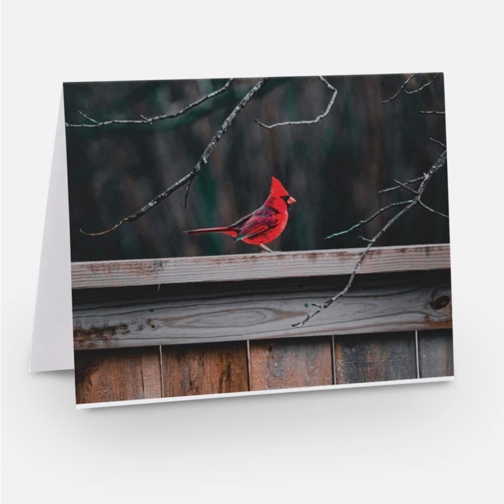 Pack of 4 notecards with envelopes - Picture 1 of 1
